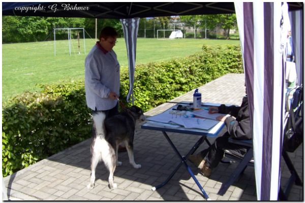 Zuchtzulassung 2010 052.JPG